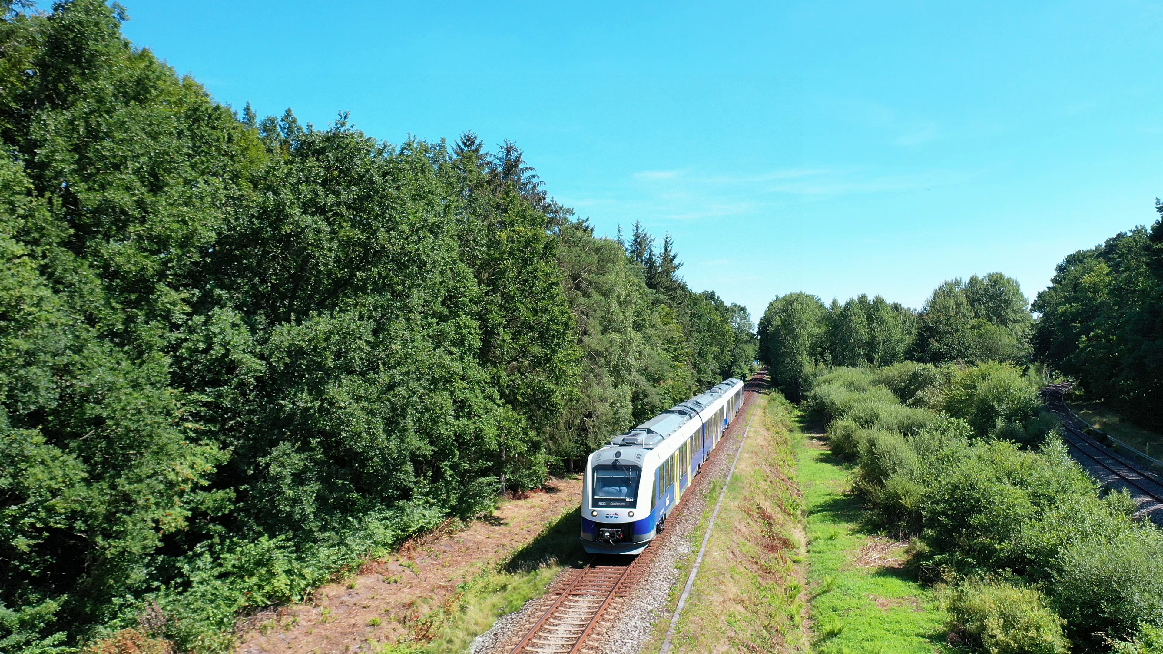 Auf den Zuschauer leicht nach links zufahrendes Fahrzeug aus der Vogelperspektive auf einer eingleisigen Strecke mit viel Baum- und Buschbestand rechts und links im Sommer